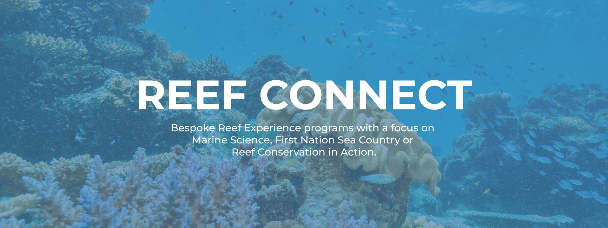 Reef-Connect-Banner